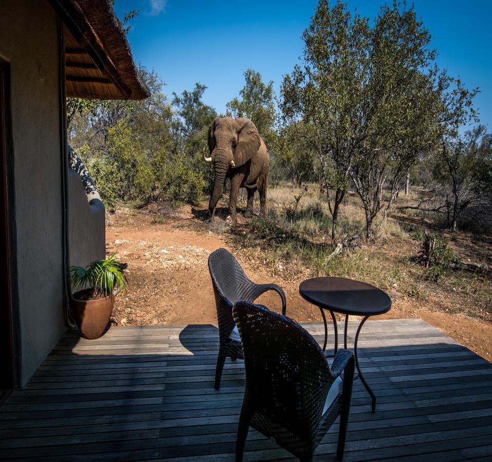 Garonga Safari Villa Makalali Game Reserve Eksteriør bilde